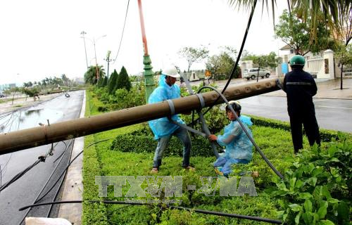  EVN đã khôi phục xong các đường dây 220 kV bị ảnh hưởng bão số 12 ảnh 1